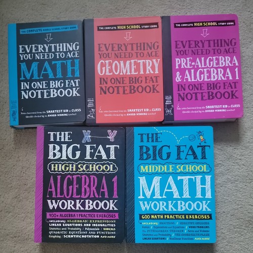 5 BOOKS. Everything You Need to Ace Math in One Big Fat Notebook