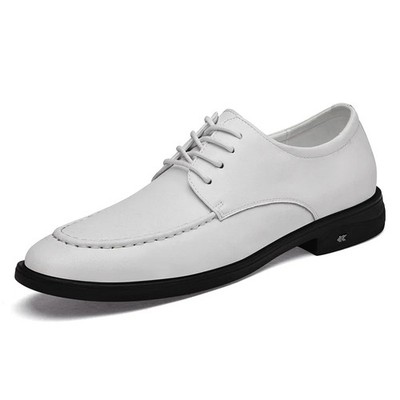 Men's British Style Business Casual Work Lace-up Shoes Office Outdoor Dress Shoe