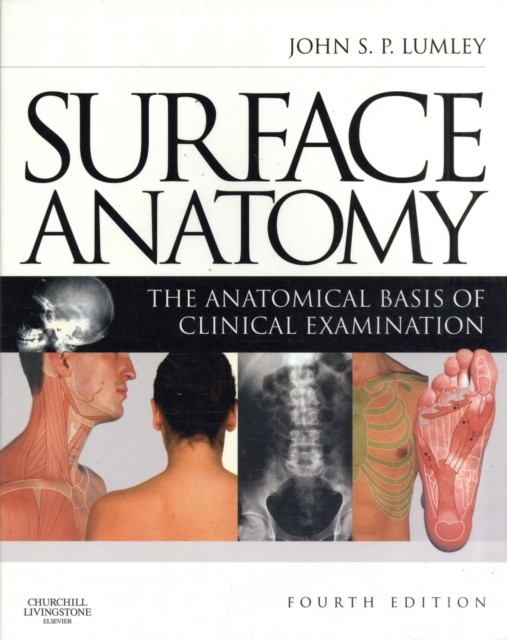Surface Anatomy - Image 5
