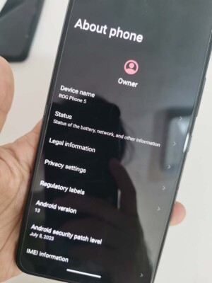 ASUS ROG Phone 5 - 256 GB - Phantom Black (Unlocked) for sale