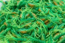 2" Hot Tiger Minnow Tubes Hollow Fat Belly Crappie Panfish Fishing Baits