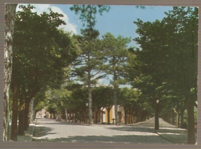 UNTRAVELED POSTCARD CINGOLI M. 631 VIALE G. VALENTINI CLIMATIC STATION BAL