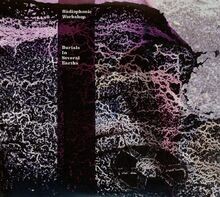Burials In Several Earths von The Radiophonic...