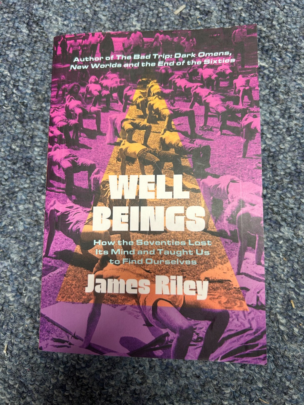 Well Beings by James Riley (Paperback Book) NEW - Free P+P