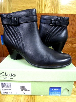 clarks leyden scale