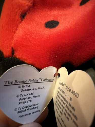 TY Beanie Baby Lucky The Ladybug with 11 Spots W/ TAG ERRORS - Picture 3 of 8