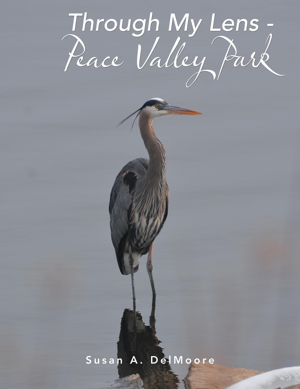 Susan A Delmoore Through My Lens - Peace Valley Park (Copertina rigida)