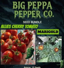 [ALLIES CHERRY TOMATO] SEEDS & MARIGOLD SEEDS FREE SHIPPING!