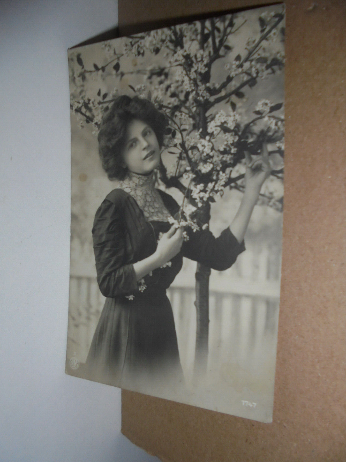 Künstler AK Frau,Blühendes Bäumchen,Zaun gel.27.DEZ.12