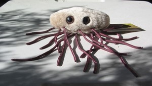 e coli plush toy