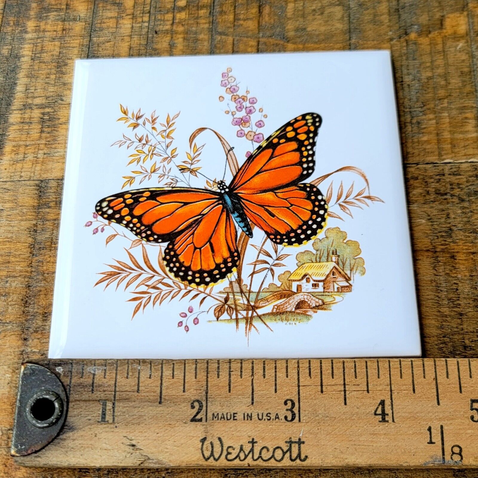 Picture 4 of 7