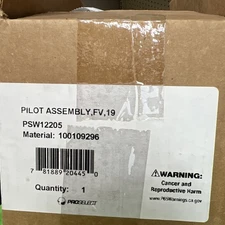 PROSELECT PSW12205 FV PILOT ASSEMBLY FOR AO SMITH C3 NATURAL GAS WATER HEATER 