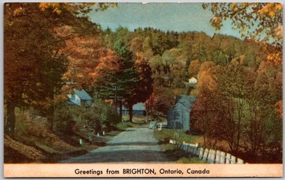 Greetings from Brighton Ontario Autumn Street & Barn View DB Postcard