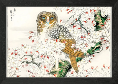 Ukiyo e Kirschblüte Eule gerahmtes Wandbild Poster Leinwanddruck Bild