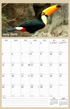 2026 - 2027 Wall Calendar Spiral-bound Twin - 18 Months Birds 11" x 17"