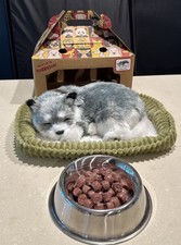 Perfect Petzzz Lot In Original Box Alaskan Husky Dog, Bed, Food, Bowl