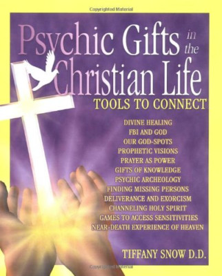 Psychic Gifts in the Christian Life - Tools to Connect - Paperback NEW Snow, Tif
