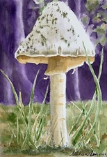 Original watercolor Mushroom painting cottagecore wall decor forest art nature