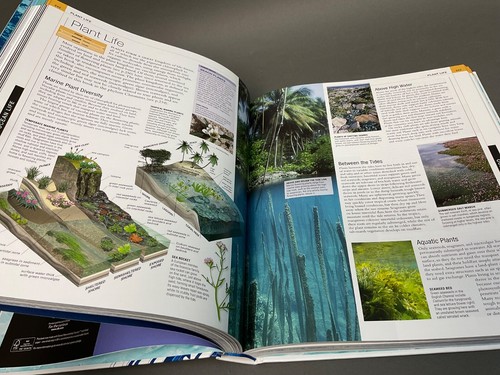 Ocean: The Definitive Visual Guide by DK Hardcover Book Like New Coffee Table - Picture 4 of 11