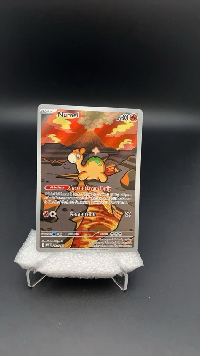 Pokémon TCG Numel 223/217 Near Mint English Ascended Heroes