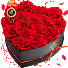Impouo 16-Piece Preserved Rose Birthday Gifts for Women, Eternal 16 Rose, Red