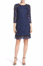 Eliza J Inset Lace Sheath Dress (size 12)