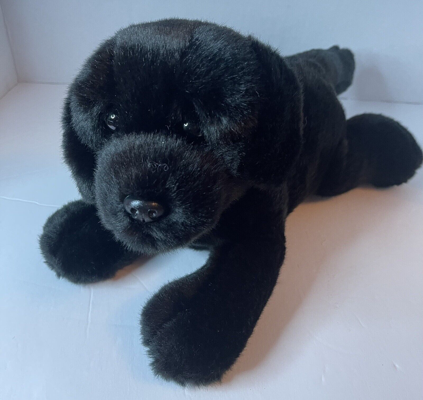 A115 Aurora Cole Black Lab Puppy Dog Plush 11