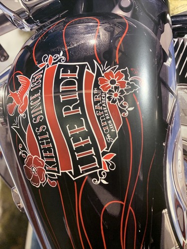 LifeRide: Riding for a Cure - Libro fotografiado inspirado en Sharon Stone - Imagen 3 de 12