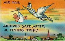Arrived Safe After a Flying Trip, Stork, Baby, Humor linen Postcard