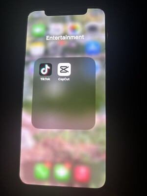 iPhone 11 Pro 256GB - TikTok & CapCut Installed (Bypass Ban!)