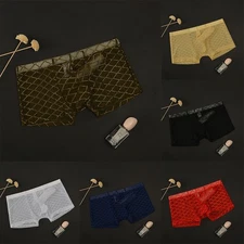 Low rise Nylon Mesh Boxer Briefs Underwear with Seethrough Pouch for Men