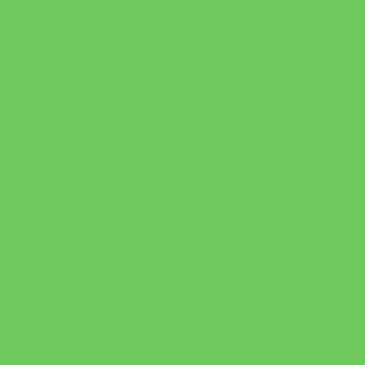 Rosco CalColor #4460 Green Filter, 2 Stop, 20x24'' Sheet