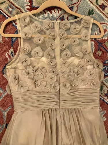 JS Collections Sz 8 Floral Applique Chiffon Gown in Champagne Sheer Accents EUC - Picture 13 of 18