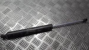 Renault Vel Satis 2003 Trunk Luggage Shock Lift Cylinder, Gas Pres #294508-27