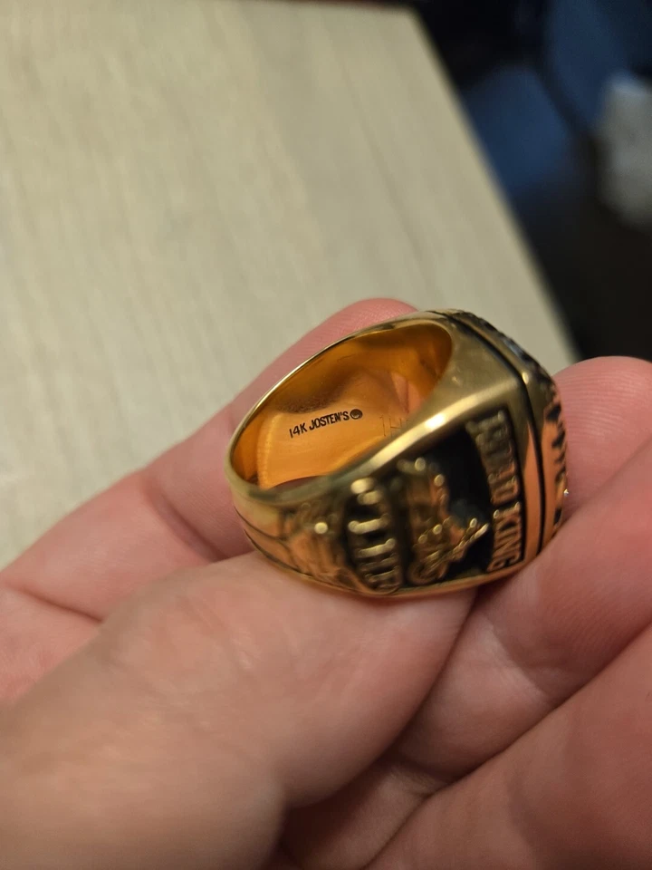 HARLEY "ROAD KING ANEL DIESEL" - Imagem 3 de 4