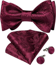 Men Bow Tie Paisley Striped Self-Bow Tie for Men and Silk Woven Bowtie Pocket Sq