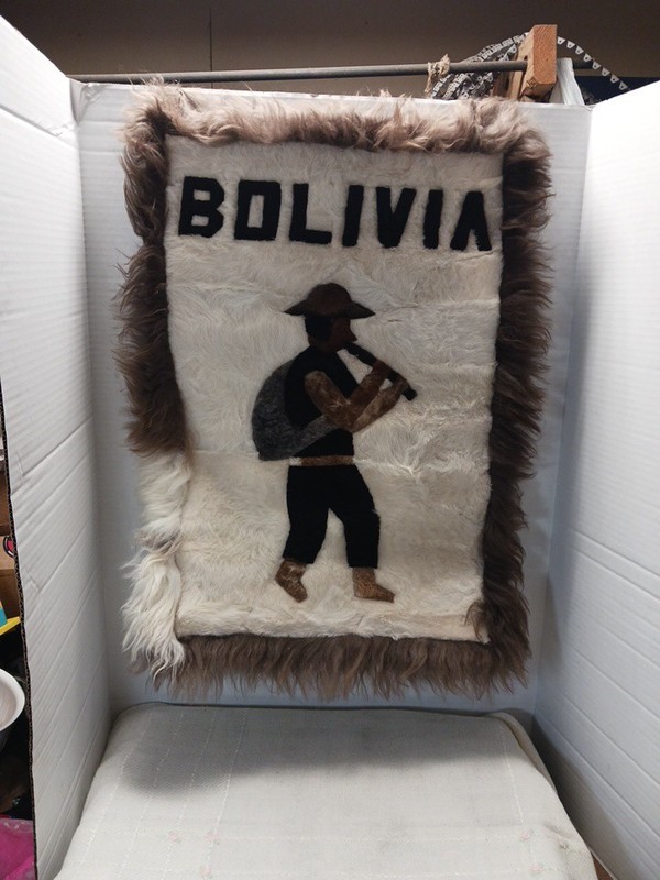 Vintage Bolivian Alpaca Fur Wall Hanging 