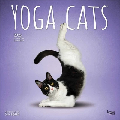 BROWNTROUT PUBLISHERS Yoga Cats Calendar 2026 - Humour - Month To View