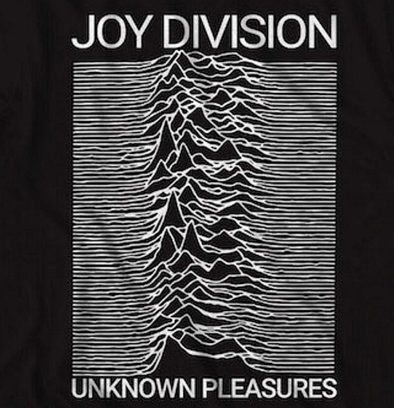 PLEASURES joy division ian curtis Tシャツ① PLEASURES joy division ian curtis Tシャツ① JOY DIVISION