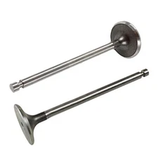 Kohler 20-016-01-S + 20 017 01-S Exhaust Valve & Intake Valve Kit Genuine