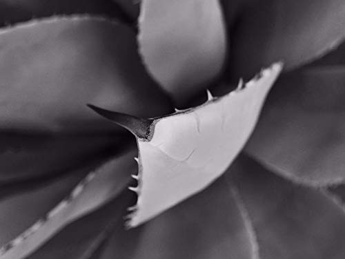 Дирк Серрис Dirk Serries - Эпитафия (CD)