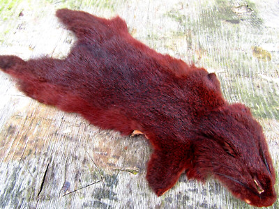 Premium Pine squirrel skins Dark Fiery Brown - dubbing, zonkers, minikies