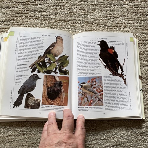 Audubon Backyard Birdwatcher Birdfeeders & Bird Gardens by Stephen Kress USED HC - Imagen 7 de 12
