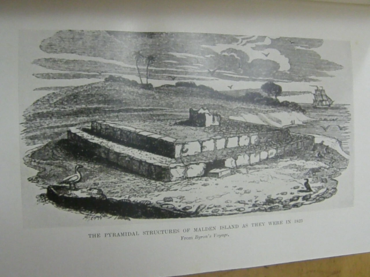 Picture 14 of 24