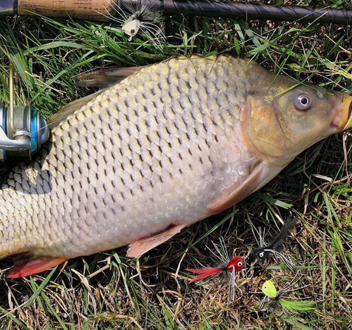 30pcs Dry Fly Files Fishing Lures Poppers Kit Bluegill Bass Panfish Trout Salmon - Image 6