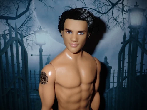 Twilight Saga Jacob Black Dressed Doll ~ Newly Unboxed ~ NO BOX
