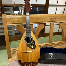 Mandolin String Instrument Wooden Hard Case Musical Instrument