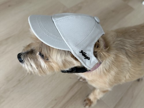Dog Baseball Cap Small