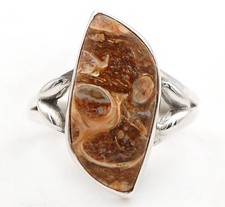 Natural Turritella Agate 925 Sterling Silver Ring Jewelry Sz 7.5 B10-3