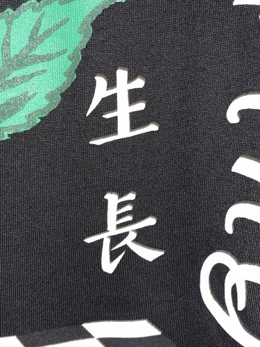 Fresh Laundry Adult "Old Growth" Skeleton & Rose Graphic Long Sleeve Shirt (2XL) - Picture 19 of 24